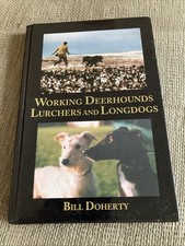Working deerhounds lurchers for sale  PRESTATYN