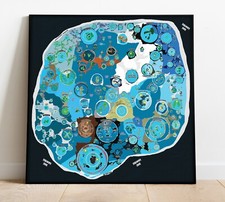 Flat earth map for sale  Clarkston