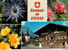 Multivues fleurs chalet d'occasion  Fruges