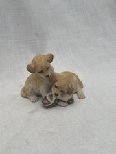 Labrador puppies playing for sale  HORNCASTLE