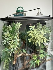 Exo terra vivarium for sale  MORDEN