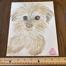 Original watercolor maltese for sale  Vernon Rockville