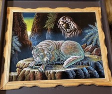 Artwork native american for sale  Rockford