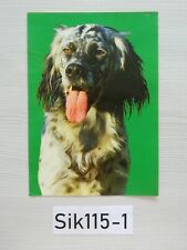 Cmx 15cm chien d'occasion  Vieux-Condé