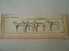 1905 cartoon humour d'occasion  Expédié en Belgium