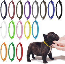 16pcs collare cucciolo usato  Roma