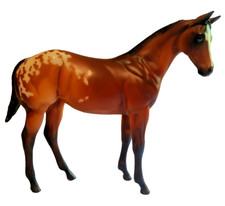 Peter stone weanling for sale  Baltic