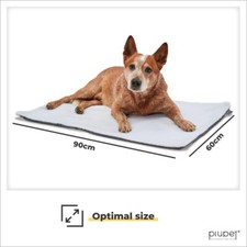 Self heating dog for sale  FORTROSE