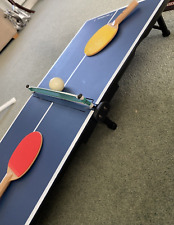 Champion mini ping for sale  ASHFORD