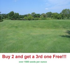 Buffalo grass seed for sale  Linwood