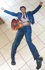 Elvis presley starschnitt gebraucht kaufen  Coburg
