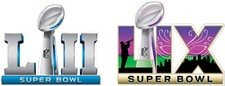 Eagles super bowl for sale  New Smyrna Beach