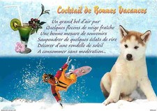 Animaux chiens husky d'occasion  Fruges