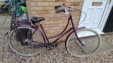 Pointer dutch style for sale Pointer dutch style for sale  COLCHESTER