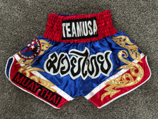 Muay thai kick for sale  San Anselmo