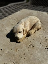 labrador retriever puppies for sale labrador retriever puppies for sale CREDITON