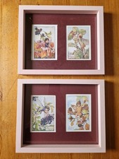Flower fairies framed for sale  FORFAR