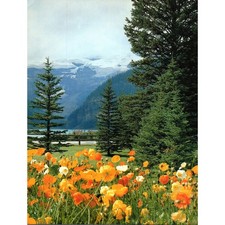 Lake louise banff for sale  Hinckley