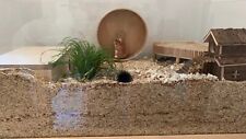 Hamstergehege inkl untergestel gebraucht kaufen  Bernau a.Chiemsee