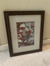 Thomas mangelsen winters for sale  Santa Cruz