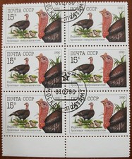 Briefmarken 6er block gebraucht kaufen  Walsrode