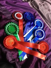 Horse show rosettes for sale  HAILSHAM
