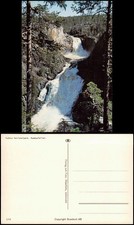 muddus usato muddus usato  Spedire a Italy