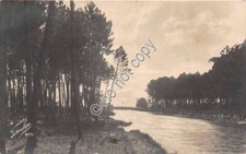 Cartolina cartolina fotocelere usato  Milano