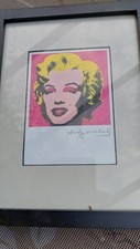 Andy warhol marylin gebraucht kaufen  Neuhaus