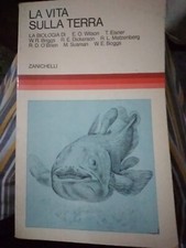 Aa.vv. vita sulla usato Aa.vv. vita sulla usato  Caivano