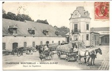 Mareuil champagne montebello.d d'occasion  Villenave-d'Ornon
