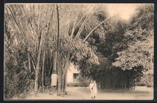 Old postcard madagascar d'occasion  Expédié en Belgium