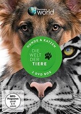 Tiere hunde katzen gebraucht kaufen  Berlin