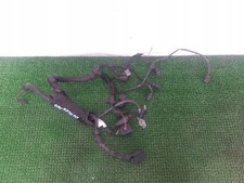 VW POLO SKODA ROOMSTER FABIA II 1.9 TDI wiązka przewodów silnika zestaw kabli silnika komora silnika na sprzedaż VW POLO SKODA ROOMSTER FABIA II 1.9 TDI wiązka przewodów silnika zestaw kabli silnika komora silnika na sprzedaż  PL