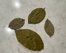 Dried persimmon leaves for sale  Potomac
