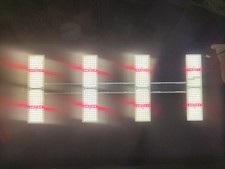 Sanlight evo 100 gebraucht kaufen  Bad Dürkheim