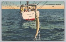 Thrilling catch florida for sale  Wylie