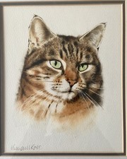 Original watercolour cat for sale  GLASGOW
