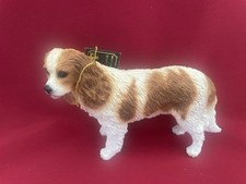 Cavalier king charles for sale  San Jose