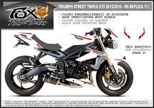 Adesivi stickers moto usato  San Giorgio Bigarello