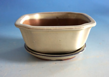 Vintage bonsaischale bonsai gebraucht kaufen  Aalen