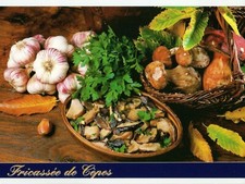 Fricassee cepes boleti usato  San Teodoro