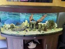aquarium 450l gebraucht kaufen aquarium 450l gebraucht kaufen Köln