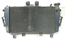 Radiatore acqua triumph usato  Fasano