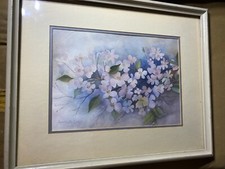 Annette lange flowering for sale  Langhorne
