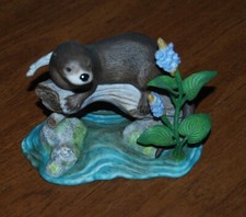 river otter for sale river otter for sale Syracuse