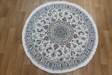 Round persian nain for sale  MAIDENHEAD