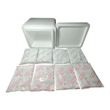Lot reusable ice for sale  Charlotte