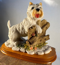 Cairn terrier dog for sale  Mesa