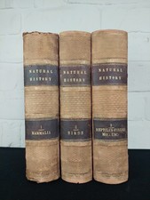 1865 illustrated natural for sale  PETERLEE